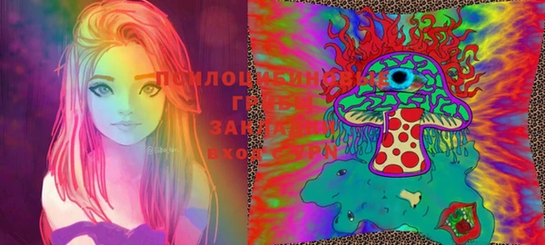 тгк Нея
