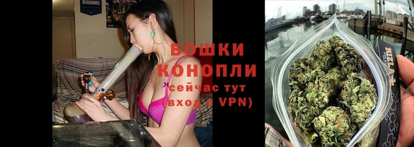 тгк Нея