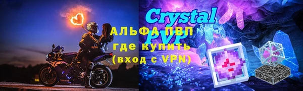 индика Абаза