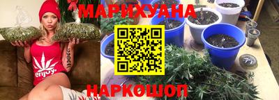 трава Лесосибирск