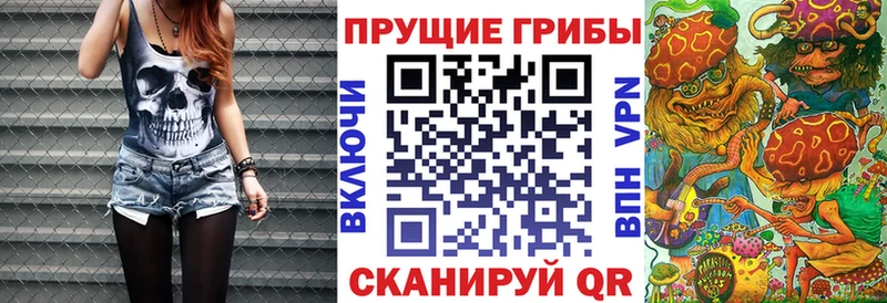 Галлюциногенные грибы Psilocybine cubensis Стерлитамак