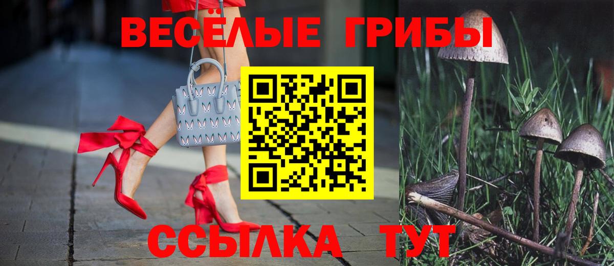Псилоцибиновые грибы Psilocybe Стерлитамак