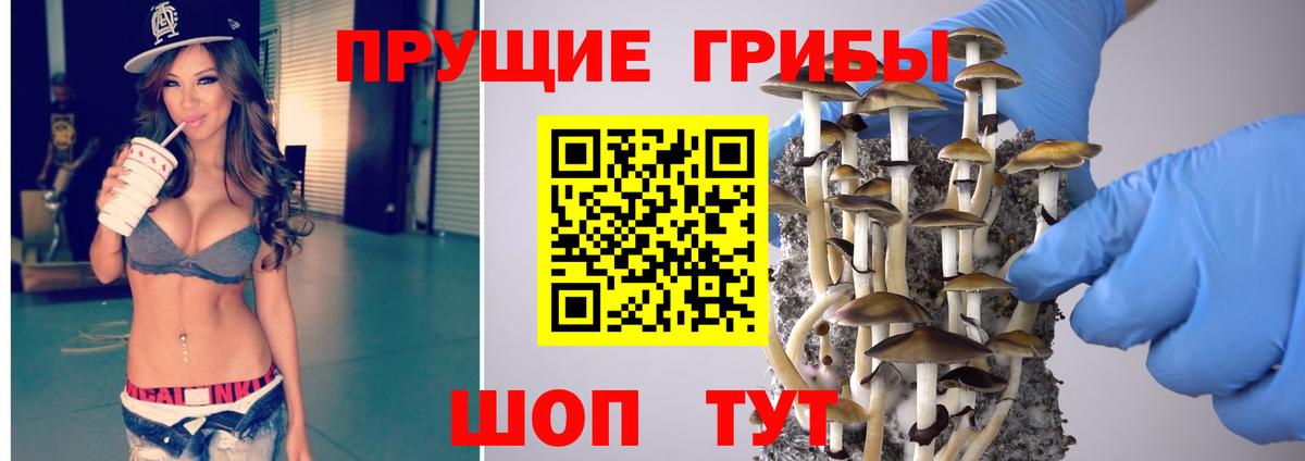 Галлюциногенные грибы мухоморы  магазин    Стерлитамак 