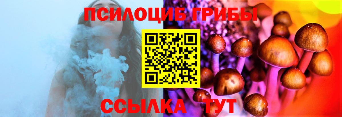 где купить наркоту  Псилоцибиновые грибы мухоморы  Вход с VPN  Стерлитамак 