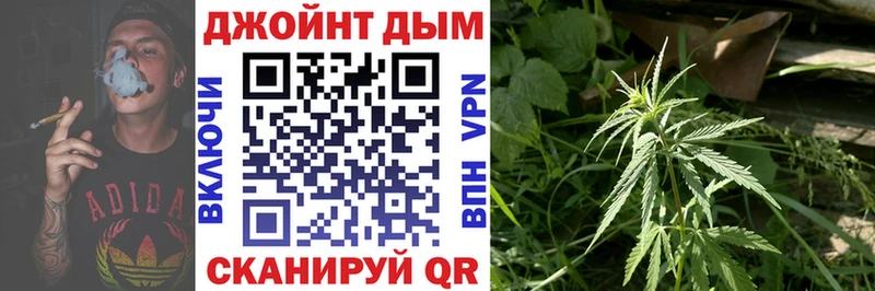 Канабис планчик где купить наркоту Стерлитамак